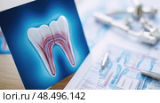 chpatient tooth blue print ai generated. Стоковое AI-изображение, AI-художник Vectorwin / Фотобанк Лори
