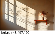 wdow shadow in wall ai generated. Стоковое AI-изображение, AI-художник Vectorwin / Фотобанк Лори