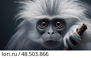 expressive silvered leaf monkey ai generated. Стоковое AI-изображение, AI-художник Vectorwin / Фотобанк Лори
