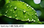 dw leaf e ai generated. Стоковое AI-изображение, AI-художник Vectorwin / Фотобанк Лори