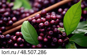 leaves cinnamon plant ai generated. Стоковое AI-изображение, AI-художник Vectorwin / Фотобанк Лори
