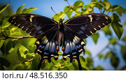 unfurl eastern black swallowtail ai generated. Стоковое AI-изображение, AI-художник Vectorwin / Фотобанк Лори