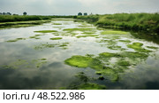 foul stagnant water ai generated. Стоковое AI-изображение, AI-художник Vectorwin / Фотобанк Лори