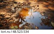 road stagnant water ai generated. Стоковое AI-изображение, AI-художник Vectorwin / Фотобанк Лори