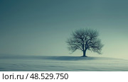 A single tree stands in the middle of a vast, snow-covered field, stark against the white landscape. Стоковое AI-изображение, AI-художник Данила Большаков / Фотобанк Лори