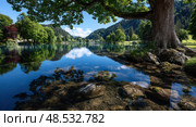 A large tree is reflected in the water of a lake. Стоковое AI-изображение, AI-художник Ярославский Максим / Фотобанк Лори
