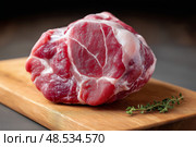 Raw pork knuckle with pink meat and fat marbling on wooden butcher block . Сырая свиная рулька с розовым мясом и жировым мрамором на деревянном мясном блоке. Стоковое AI-изображение, AI-художник Katsiaryna Repich / Фотобанк Лори