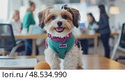 Cute puppy, wearing a sweater, is playfully posing in an office setting. A cheerful and friendly canine companion. Стоковое AI-видео, аниматор Данила Большаков / Фотобанк Лори