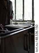 Clean wine glasses and decanter are on the table of a special wine cabinet, stylish table setting, ice, light from window, decoder and degasser. Стоковое фото, фотограф Vladimir Drozdin / Фотобанк Лори