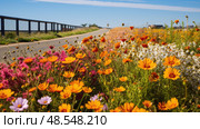 landscape barrier road ai generated. Стоковое AI-изображение, AI-художник Vectorwin / Фотобанк Лори