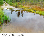 Залитая водой просёлочная дорога в лесу. Карелия. Стоковое фото, фотограф Жигалов Евгений Павлович / Фотобанк Лори