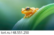photograph spring peeper frog ai generated. Стоковое AI-изображение, AI-художник Vectorwin / Фотобанк Лори