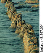 Textured Underwater View of Natural Formations Along a Shoreline During Daylight. Стоковое фото, фотограф Aleksandr Golubev / Фотобанк Лори