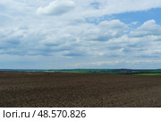 Большое вспаханное поле с темной и плодородной почвой с голубым облачным небом. Стоковое фото, фотограф Дарья Савченко / Фотобанк Лори