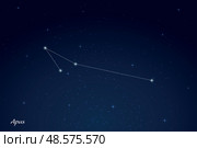 Apus Constellation with Star Names in Night Sky. Стоковая иллюстрация, иллюстратор Максим Гребешков / Фотобанк Лори