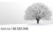 A majestic tree covered in frost sits alone in a serene winter setting, surrounded by a tranquil, misty atmosphere and snow-covered ground. Стоковое AI-изображение, AI-художник Данила Большаков / Фотобанк Лори