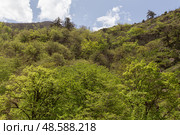 View of the mountains in Armenia. Tavush region. Стоковое фото, фотограф Evgenia Shevardina / Фотобанк Лори