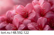 Concept: Spring bloom, Purpose: Floral greeting card, Pink blossom with water droplets shining. Стоковое AI-изображение, AI-художник Данила Большаков / Фотобанк Лори