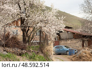 View of the village in Armenia in the spring. Kotayk region. Стоковое фото, фотограф Evgenia Shevardina / Фотобанк Лори