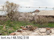 View of the village in Armenia in the spring. Kotayk region. Стоковое фото, фотограф Evgenia Shevardina / Фотобанк Лори