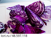 Краснокочанная капуста, красный лук, красная луковица, сырые овощи. Стоковое фото, фотограф Елена Борисова / Фотобанк Лори