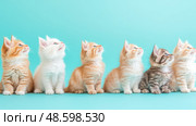 Row of Curious Kittens on Turquoise: Playful Felines Looking Upward, Ideal for Animal Lovers, Pet Adoption Campaign, and Whimsical Print. Стоковое AI-изображение, AI-художник Данила Большаков / Фотобанк Лори