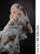 Captivating red-haired woman ensnared in delicate net trap. Стоковое фото, фотограф Гурьянов Андрей / Фотобанк Лори