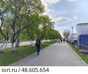Кемерово. Городская улица с аллеей деревьев и прохожими. Редакционное фото, фотограф Михаил Павлов / Фотобанк Лори