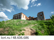 Ружанский дворцовый комплекс. Брестская область. Республика Беларусь. Редакционное фото, фотограф Наталья Филатова / Фотобанк Лори