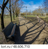 Весенний парковый фрагментарный пейзаж. Стоковое фото, фотограф Василий Мальцев / Фотобанк Лори
