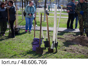 Belarus, Gomel, April 21, 2018. The Central District. Tree planting. A lot of shovels and buckets for planting trees. Редакционное фото, фотограф Лазаренко Светлана / Фотобанк Лори