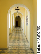 Neoclassical corridor in Catherine Palace's Zubov Wing, geometric black-and-white marble floor pattern under arches. Tsarskoye Selo, St. Petersburg. Стоковое фото, фотограф Елена  Попкова / Фотобанк Лори