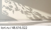 Sunlight creates beautiful leaf shadows on a textured marble floor in a serene indoor space during the afternoon. Стоковое AI-изображение, AI-художник Сергей Толмачёв / Фотобанк Лори
