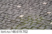 Moss growing between cobbled pavement stones in repeating square layout. Стоковое видео, видеограф PAv / Фотобанк Лори