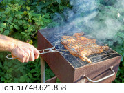 Grilling Chicken being grilled over charcoal in barbecue outdoors. Hand holds grill handle, highlighting cooking process amidst lush greenery and rising smoke. Стоковое фото, фотограф Алла Чесноковва / Фотобанк Лори