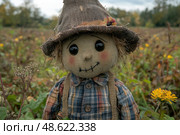 A charming scarecrow doll with a stitched smile and patchy clothing stands surrounded by colorful wildflowers in a lush autumn landscape. Стоковое AI-изображение, AI-художник Данила Большаков / Фотобанк Лори