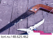 Инструменты для обрезки деревьев в саду.Tools for pruning trees in the garden. Стоковое фото, фотограф Роман Лукьянов / Фотобанк Лори