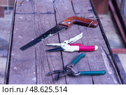 Инструменты для обрезки деревьев в саду.Tools for pruning trees in the garden. Стоковое фото, фотограф Роман Лукьянов / Фотобанк Лори