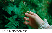 Person gently holds a green fern leaf while surrounded by lush greenery in a natural outdoor setting during daylight hours. Стоковое AI-изображение, AI-художник Сергей Толмачёв / Фотобанк Лори