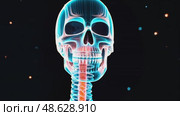 X-ray/glowing images of a human skeleton/skull, highlighting anatomical structures (spine, jaw, cranium, etc.) for medical/scientific research & healthcare. Стоковое AI-видео, аниматор Данила Большаков / Фотобанк Лори