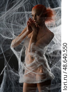 Red woman caught in an intricate net trap surrounded by webs at night. Стоковое фото, фотограф Гурьянов Андрей / Фотобанк Лори