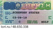 Close-up of a Schengen visa with detailed security features. Стоковое фото, фотограф Емельянов Евгений Викторович / Фотобанк Лори