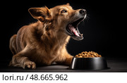 Hungry dog barking at food bowl in studio shot. Стоковое AI-изображение, AI-художник Юрий Поздников / Фотобанк Лори