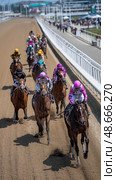 Jockeys riding horses galloping on racetrack during horse race. Стоковое AI-изображение, AI-художник Юрий Поздников / Фотобанк Лори