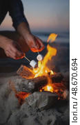 Roasting marshmallows on campfire at beach during sunset. Стоковое AI-видео, аниматор Юрий Поздников / Фотобанк Лори