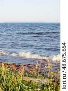 Побережье Белого моря. Терский район. Терский берег. Стоковое фото, фотограф Анатолий Гуреев / Фотобанк Лори