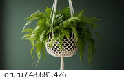 macrame floral and plant ai generated. Стоковое AI-изображение, AI-художник Vectorwin / Фотобанк Лори