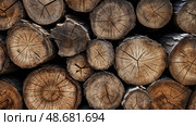 logs texture wood ai generated. Стоковое AI-изображение, AI-художник Vectorwin / Фотобанк Лори