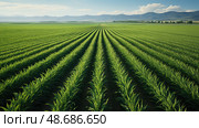 agriculture monoculture crop farm ai generated. Стоковое AI-изображение, AI-художник Vectorwin / Фотобанк Лори