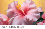 ruffled and pink flowers ai generated. Стоковое AI-изображение, AI-художник Vectorwin / Фотобанк Лори